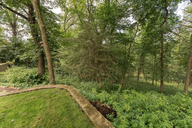 4089 Stone Point Dr NE, Rochester, MN 55906 - view of yard featuring a forest view