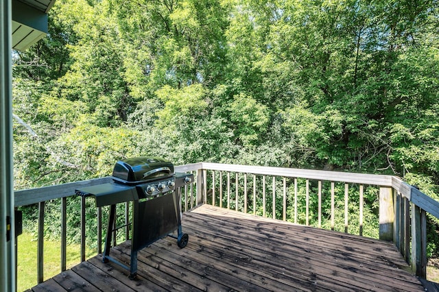 1275 Halper Pl, White Bear Twp, MN 55110 - photo 31