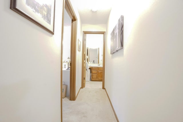 350 Shelard Pkwy Unit 206, Saint Louis Park, MN 55426 - photo 10