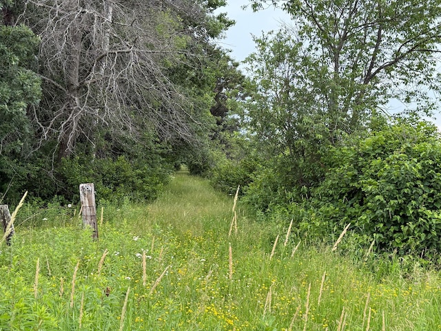 TBD Timberlane Rd, Staples, MN 56479