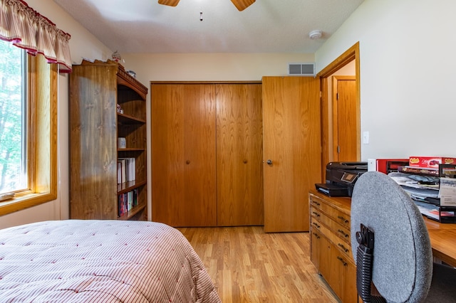 5551 Nancy Ln NW, Rochester, MN 55901 - bedroom with light wood-style flooring, multiple windows, a closet, and a desk