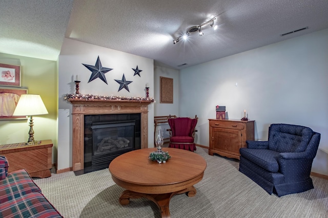 5551 Nancy Ln NW, Rochester, MN 55901 - living room with carpet, a textured ceiling, and a glass covered fireplace