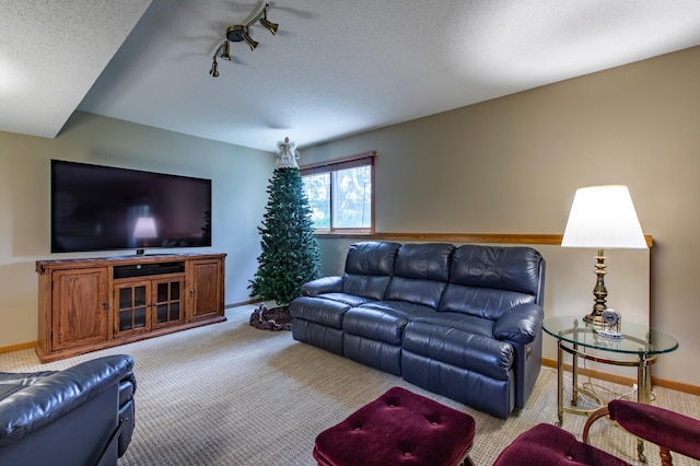 5551 Nancy Ln NW, Rochester, MN 55901 - carpeted living area with rail lighting and a textured ceiling