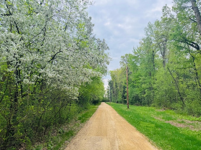 E6355 County Road D, Tainter Twp, WI 54730 - photo 9