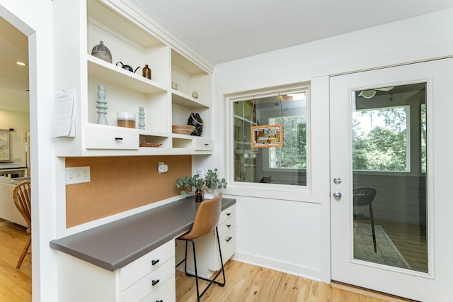 290 Wimbledon Hills Dr SW, Rochester, MN 55902 - office with light wood-style flooring