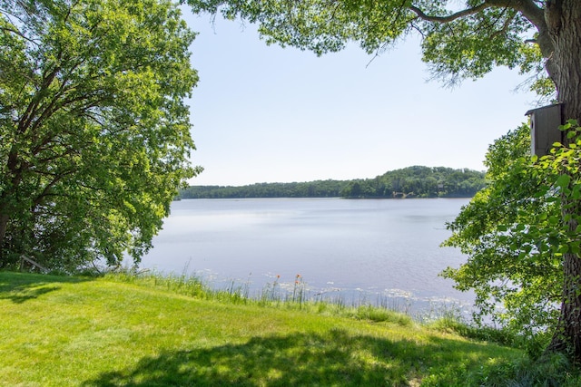 17188 Dewes Rd, Brainerd, MN 56401 - photo 7