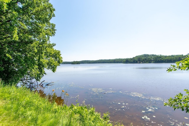 17188 Dewes Rd, Brainerd, MN 56401 - photo 8