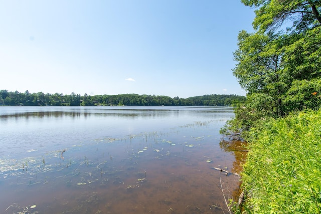 17188 Dewes Rd, Brainerd, MN 56401 - photo 9