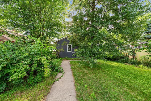 3233 42nd Ave S, Minneapolis, MN 55406 - view of grassy yard