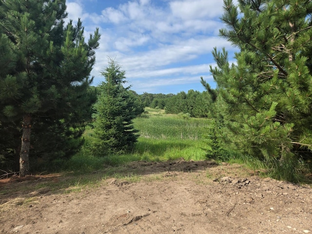 20332 County Highway 25, Detroit Lakes, MN 56501 - photo 2