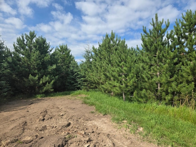 20332 County Highway 25, Detroit Lakes, MN 56501 - photo 5