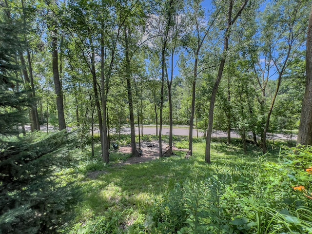 14451 Wellington Rd, Minnetonka, MN 55391 - photo 38