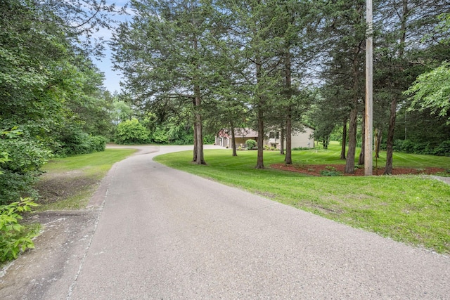 13326 Mallard Dr SE, Becker Twp, MN 55308 - view of asphalt driveway