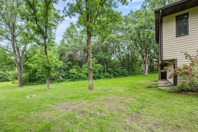 13326 Mallard Dr SE, Becker Twp, MN 55308 - view of green lawn