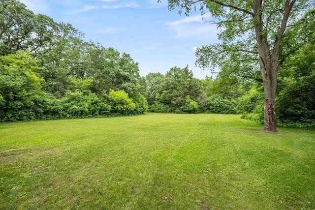 13326 Mallard Dr SE, Becker Twp, MN 55308 - view of green lawn