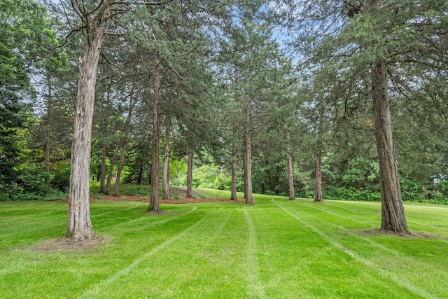 13326 Mallard Dr SE, Becker Twp, MN 55308 - view of grassy yard