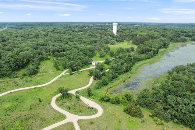 13326 Mallard Dr SE, Becker Twp, MN 55308 - aerial view of a forest and a nearby body of water
