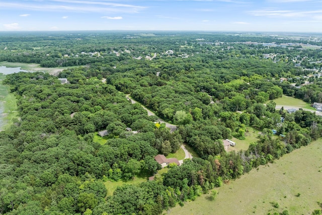 13326 Mallard Dr SE, Becker Twp, MN 55308 - drone / aerial view of a forest