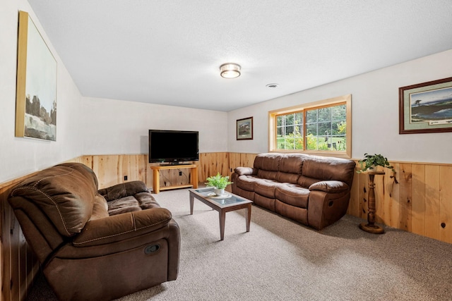 13326 Mallard Dr SE, Becker Twp, MN 55308 - carpeted living room with wood walls and wainscoting