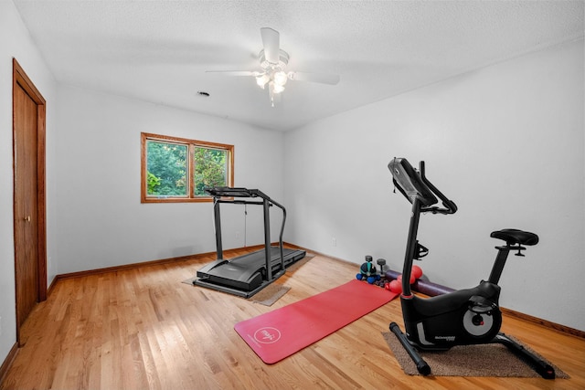 13326 Mallard Dr SE, Becker Twp, MN 55308 - exercise room with wood finished floors and ceiling fan