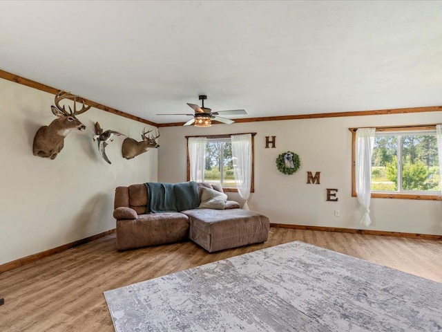 11320 57th Ave SW, May Twp, MN 56473 - photo 10