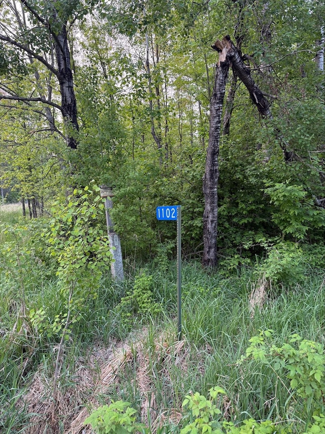 1102 County Line Rd, Tamarack, MN 55787 - photo 6