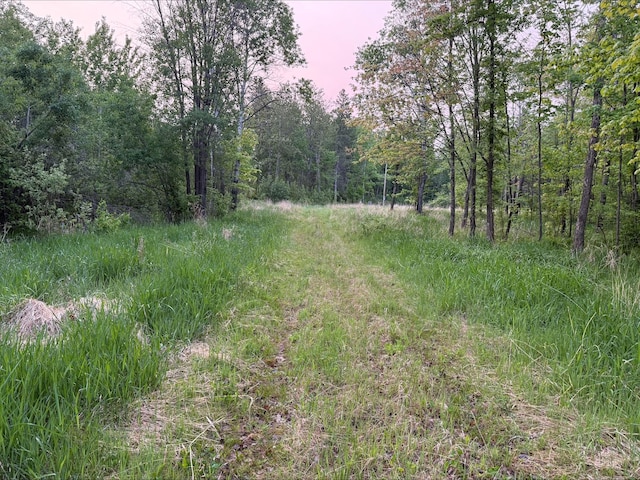 1102 County Line Rd, Tamarack, MN 55787 - photo 7