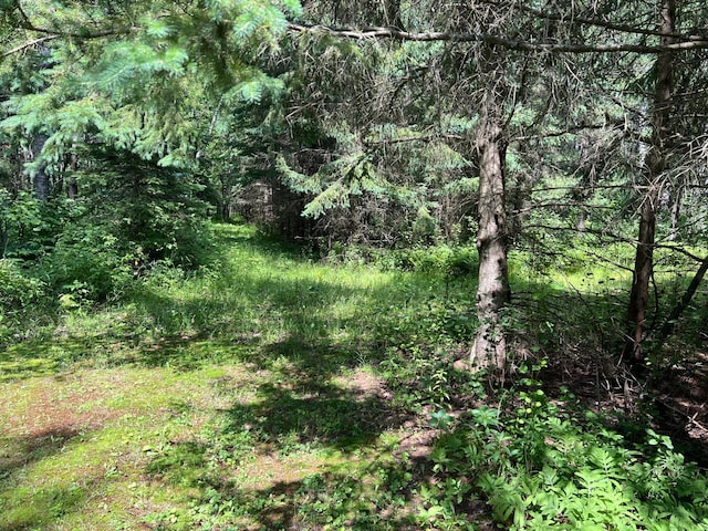 13949 Emma Rd, Hinckley Twp, MN 55037 - photo 45