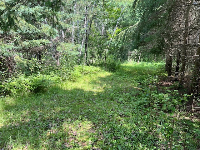 13949 Emma Rd, Hinckley Twp, MN 55037 - photo 46