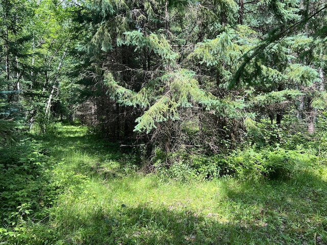 13949 Emma Rd, Hinckley Twp, MN 55037 - photo 47