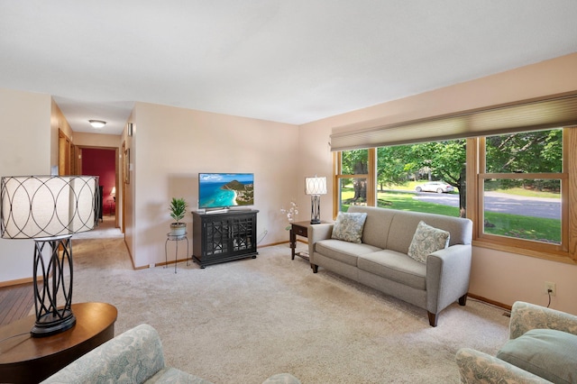 2527 152nd Ave NE, Ham Lake, MN 55304 - photo 4