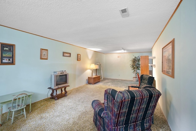 2527 152nd Ave NE, Ham Lake, MN 55304 - photo 19