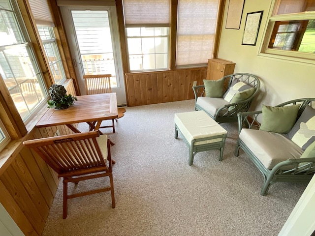 2701 4th Ave NW, Austin, MN 55912 - photo 21