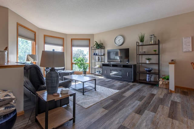 406 13th Ave NW, Kasson, MN 55944 - living area featuring wood finished floors and a textured ceiling