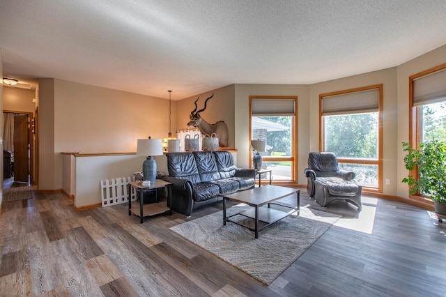 406 13th Ave NW, Kasson, MN 55944 - living area featuring wood finished floors and a textured ceiling