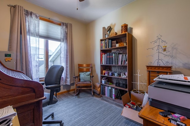 406 13th Ave NW, Kasson, MN 55944 - office with baseboards