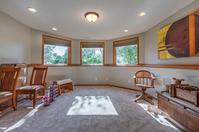 406 13th Ave NW, Kasson, MN 55944 - living area featuring carpet flooring and recessed lighting