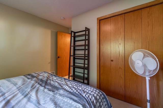406 13th Ave NW, Kasson, MN 55944 - carpeted bedroom with a closet