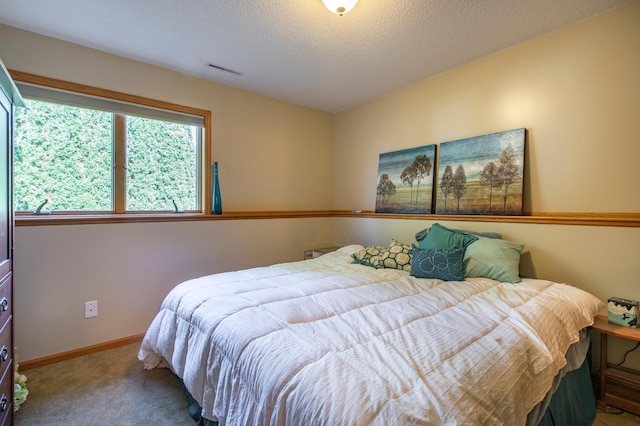 406 13th Ave NW, Kasson, MN 55944 - bedroom featuring carpet and a textured ceiling