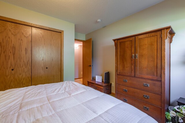 406 13th Ave NW, Kasson, MN 55944 - bedroom featuring a closet
