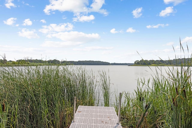 LOT2 Jacobs Dr, Norwegian Grove Twp, MN 56572 - photo 6