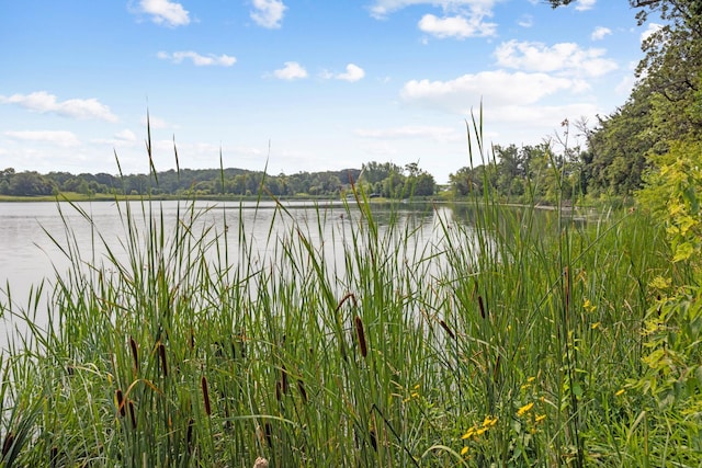 LOT2 Jacobs Dr, Norwegian Grove Twp, MN 56572 - photo 7