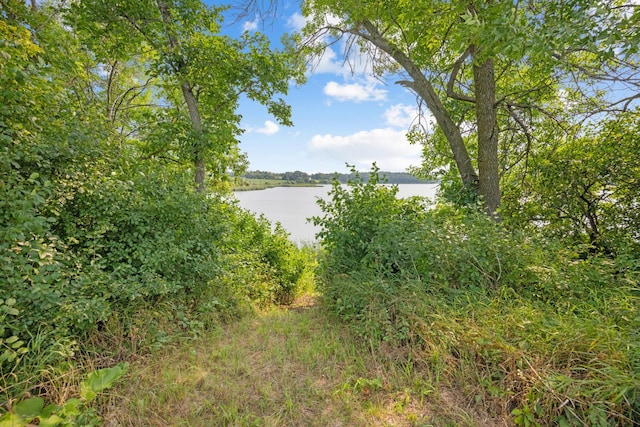 LOT2 Jacobs Dr, Norwegian Grove Twp, MN 56572 - photo 11