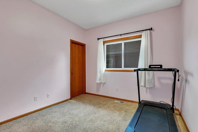 136 Garner Cir, Montrose, MN 55363 - photo 13