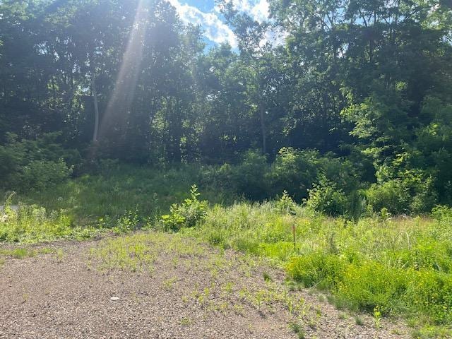 308 4th St S, Stillwater, MN 55082 - photo 5