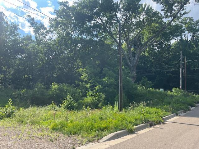 308 4th St S, Stillwater, MN 55082 - photo 6