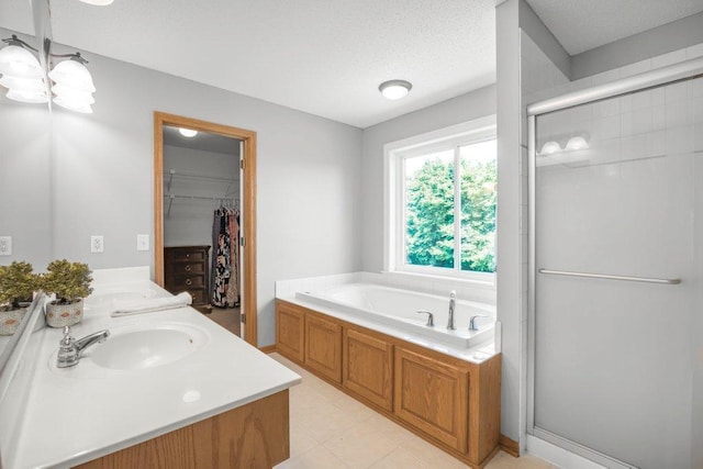 10695 184th Ave NW, Elk River, MN 55330 - full bathroom with a stall shower, a garden tub, double vanity, and a walk in closet