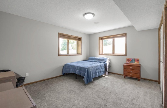 10695 184th Ave NW, Elk River, MN 55330 - bedroom featuring carpet flooring and a textured ceiling