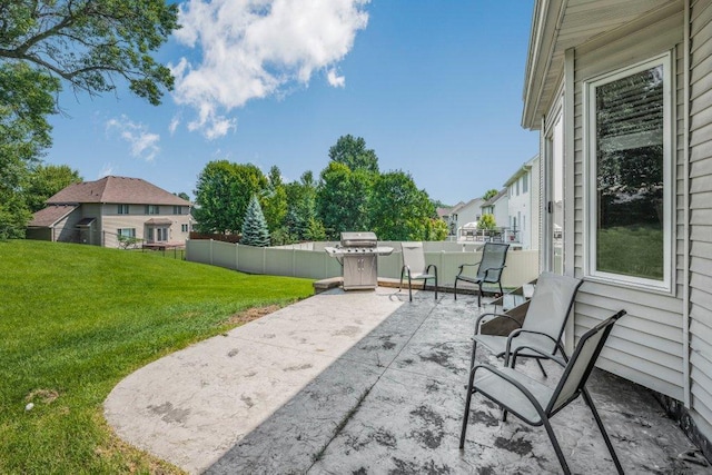 10695 184th Ave NW, Elk River, MN 55330 - view of patio with area for grilling