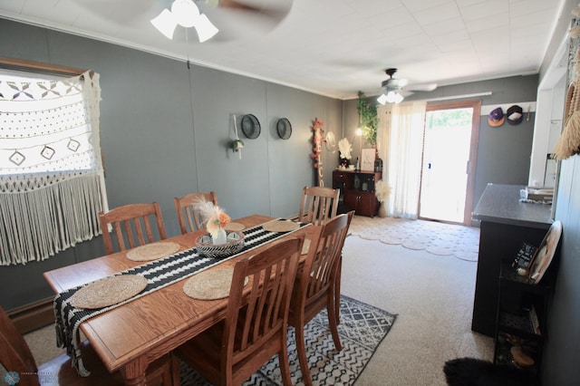 636 Vine St, Breckenridge, MN 56520 - photo 18